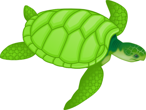 11971226151468912619valessiobrito_Green_sea_turtle_svg_hi.png